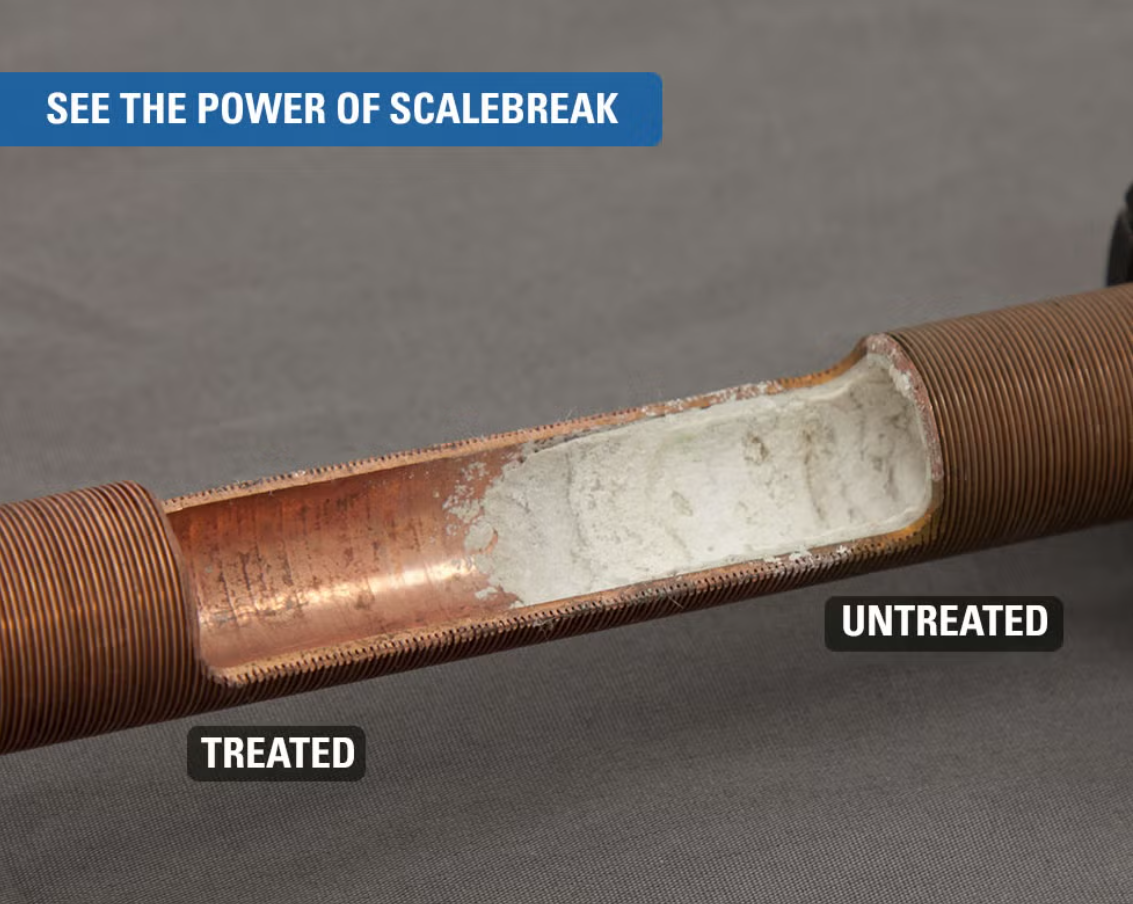 Screenshot 2025-03-07 143340